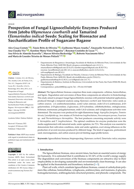 Hymenaea Courbaril) and Tamarind (Tamarindus Indica) Seeds: Scaling for Bioreactor and Sacchariﬁcation Proﬁle of Sugarcane Bagasse