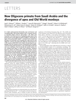 New Oligocene Primate from Saudi Arabia and the Divergence of Apes and Old World Monkeys