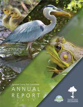 Annual Report 2019 Table of Contents