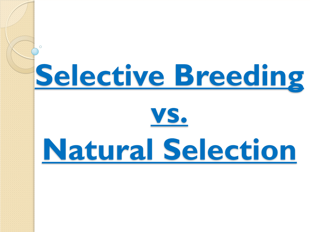 Natural Selection Vs. Selective Breeding