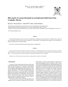 Bite Marks of a Large Theropod on an Hadrosaur Limb Bone from Coahuila, Mexico 157 Boletín De La Sociedad Geológica Mexicana