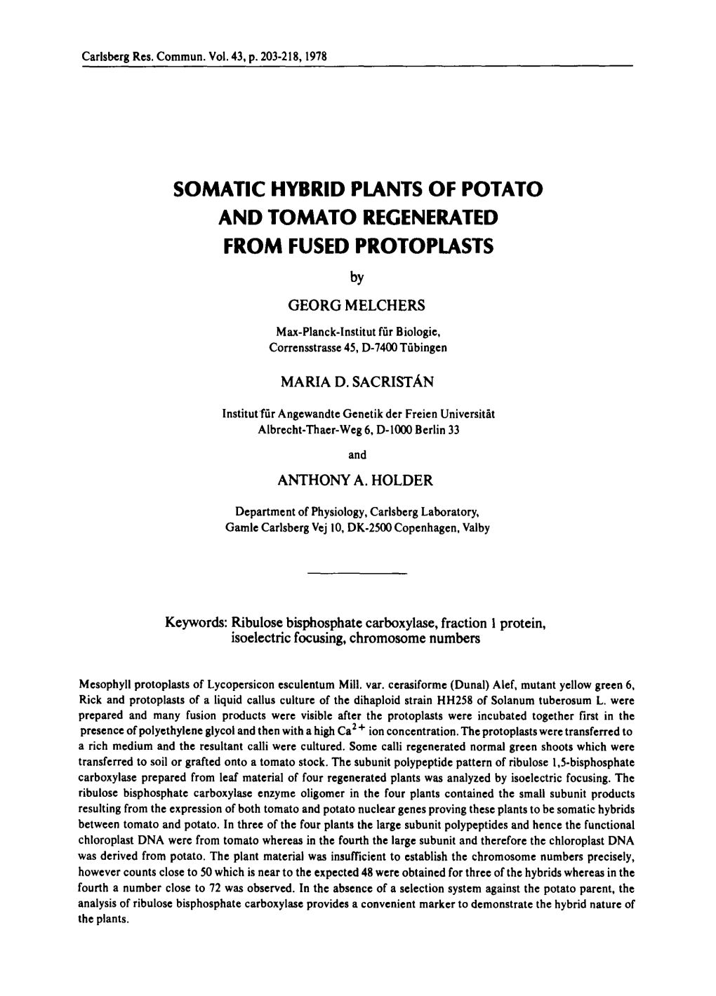SOMATIC HYBRID PLANTS of POTATO and TOMATO REGENERATED from FUSED PROTOPLASTS by GEORG MELCHERS
