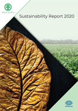Deltafina Sustainability Report FY20