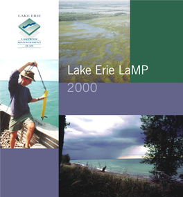 2000 Lake Erie Lamp