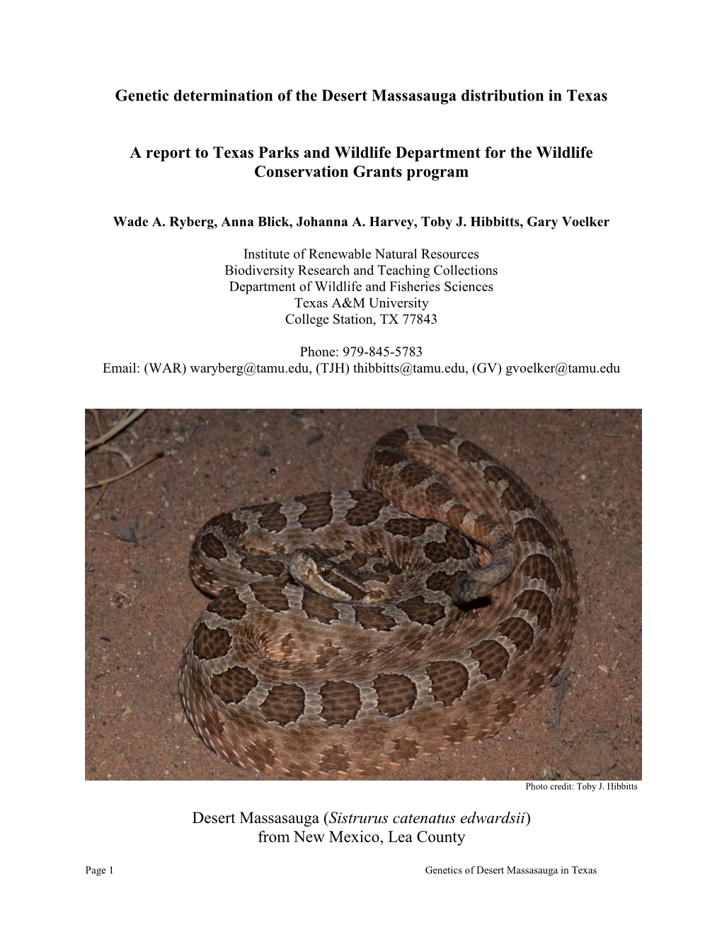 Genetic Determination of the Desert Massasauga Distribution in Texas