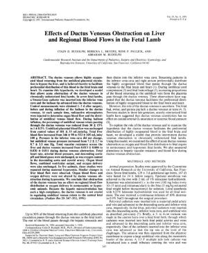 Effects of Ductus Venosus Obstruction on Liver and Regional Blood Flows in the Fetal Lamb