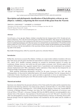 Description and Phylogenetic Classification of Stackelberginia Cerberus Sp