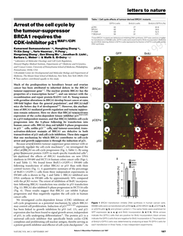 Arrest of the Cell Cycle by the Tumour-Suppressor BRCA1 Requires the CDK-Inhibitor