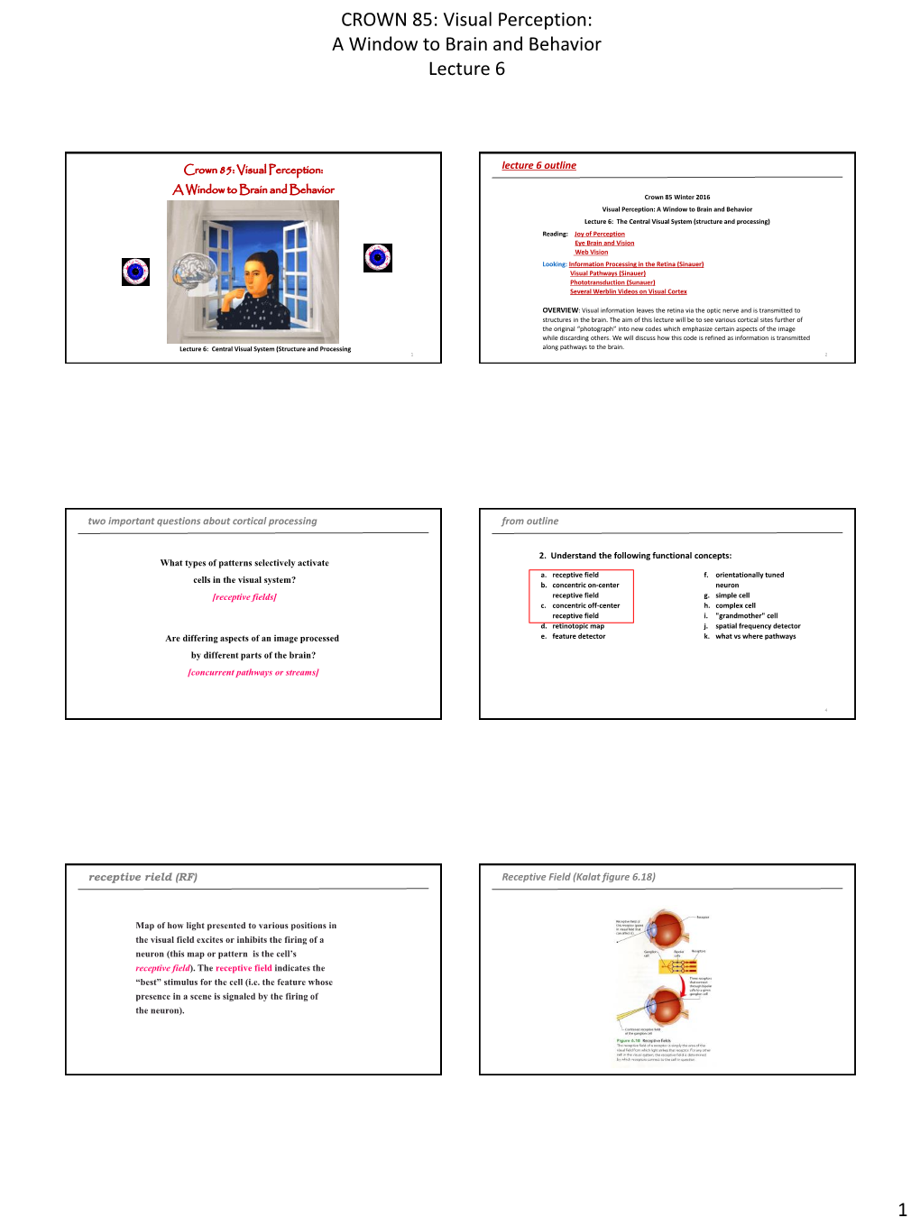 CROWN 85: Visual Perception: a Window to Brain and Behavior Lecture 6