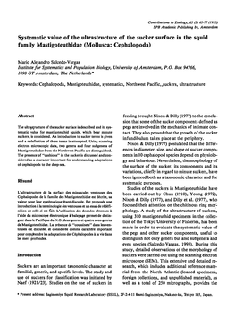 Systematic Value the Squid Family Mastigoteuthidae Cephalopoda)