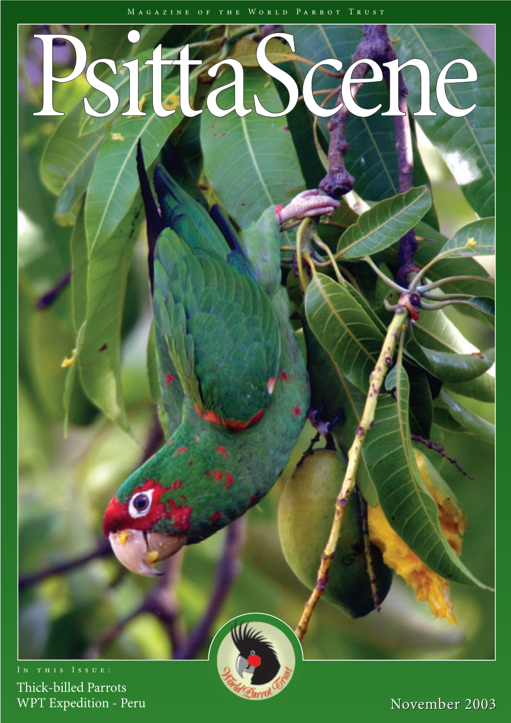 November 2003 Volume 15 Number 4 Thick-Billed Parrots Ppsittasitta in Mexico Scene by CLAUDIA MACIAS-CABALLERO, ERNESTO C