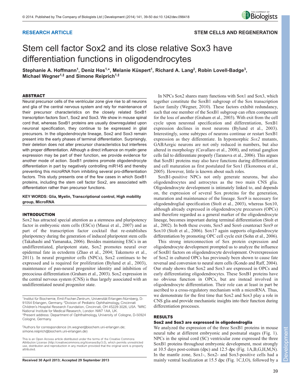 Stem Cell Factor Sox2 and Its Close Relative Sox3 Have Differentiation Functions in Oligodendrocytes Stephanie A