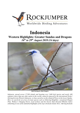 Sulawesi & Halmahera 2011/Rockjumper