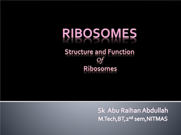 Lec No 18 Ribosomes