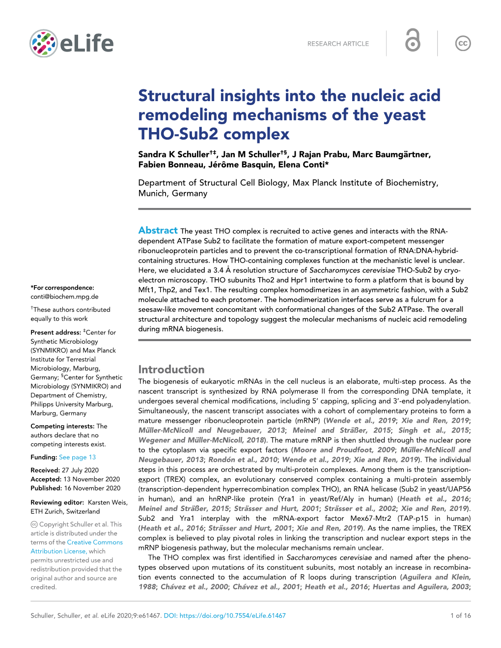Structural Insights Into the Nucleic Acid Remodeling Mechanisms of The