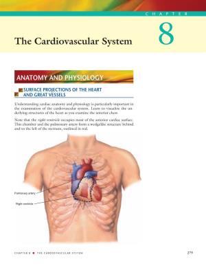 The Cardiovascular System 8