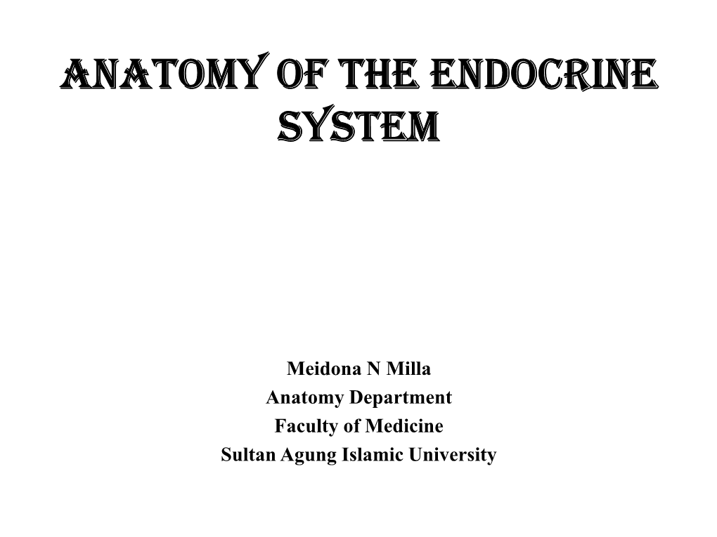 Anatomy of the Endocrine System