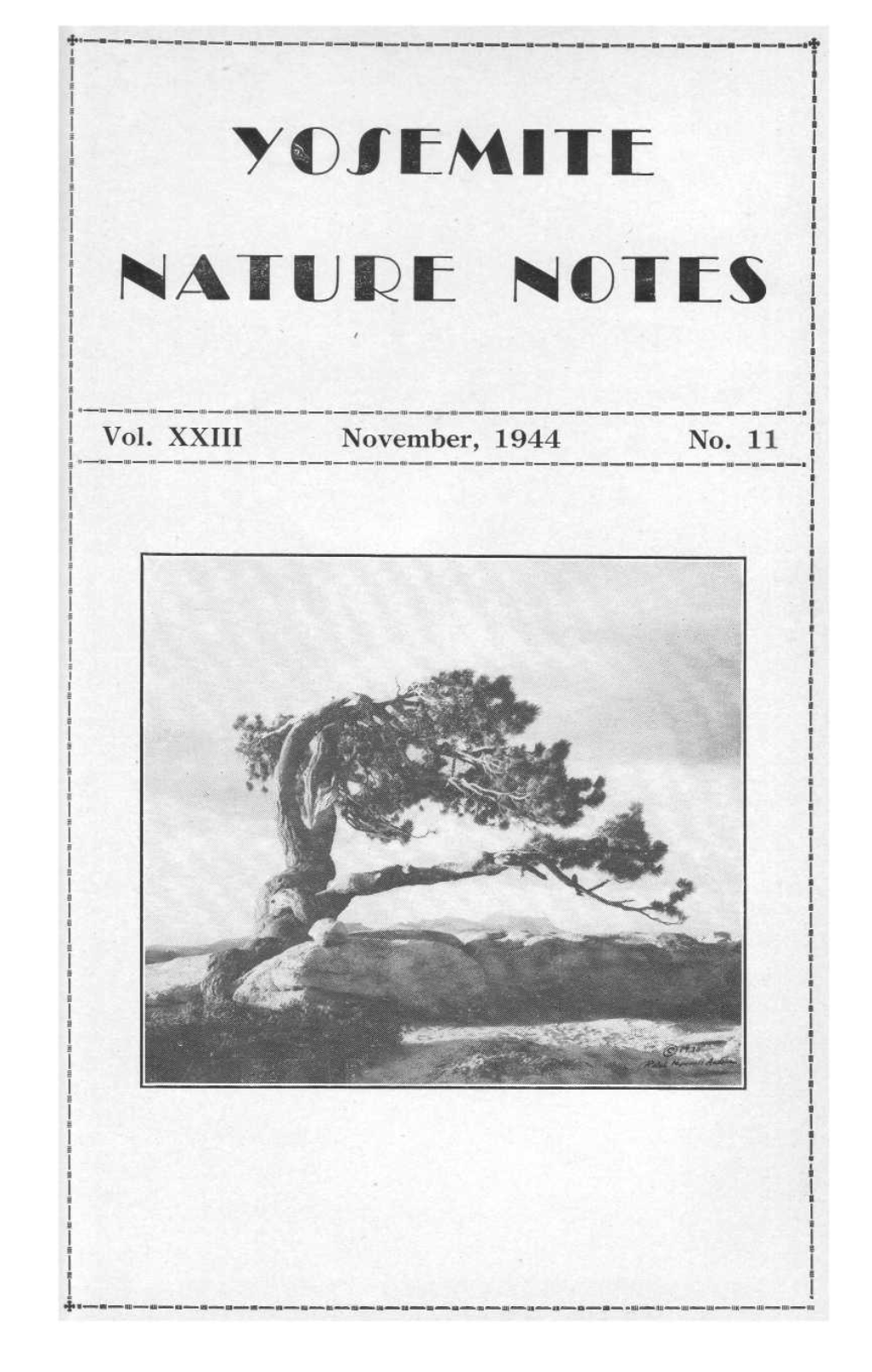 Nature Notes