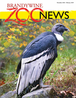 November 2018 - February 2019 in This Issue O N the Cover Zoo Director’S Letter