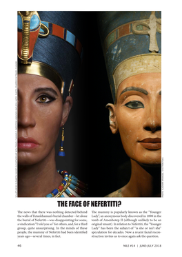 THE FACE of NEFERTITI? Jeff Burzacott