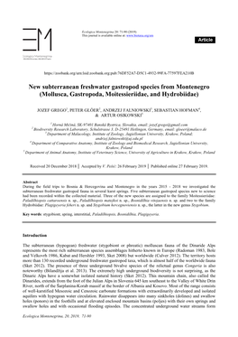 Mollusca, Gastropoda, Moitessieriidae, and Hydrobiidae)