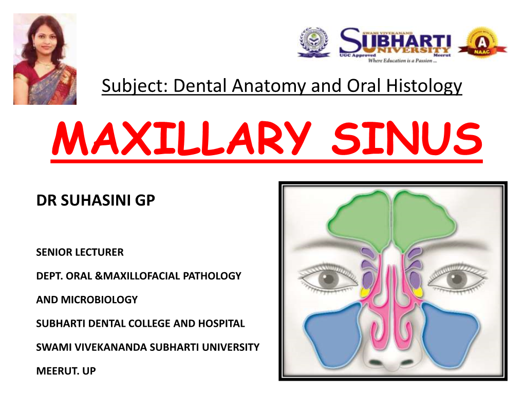 Maxillary Sinus