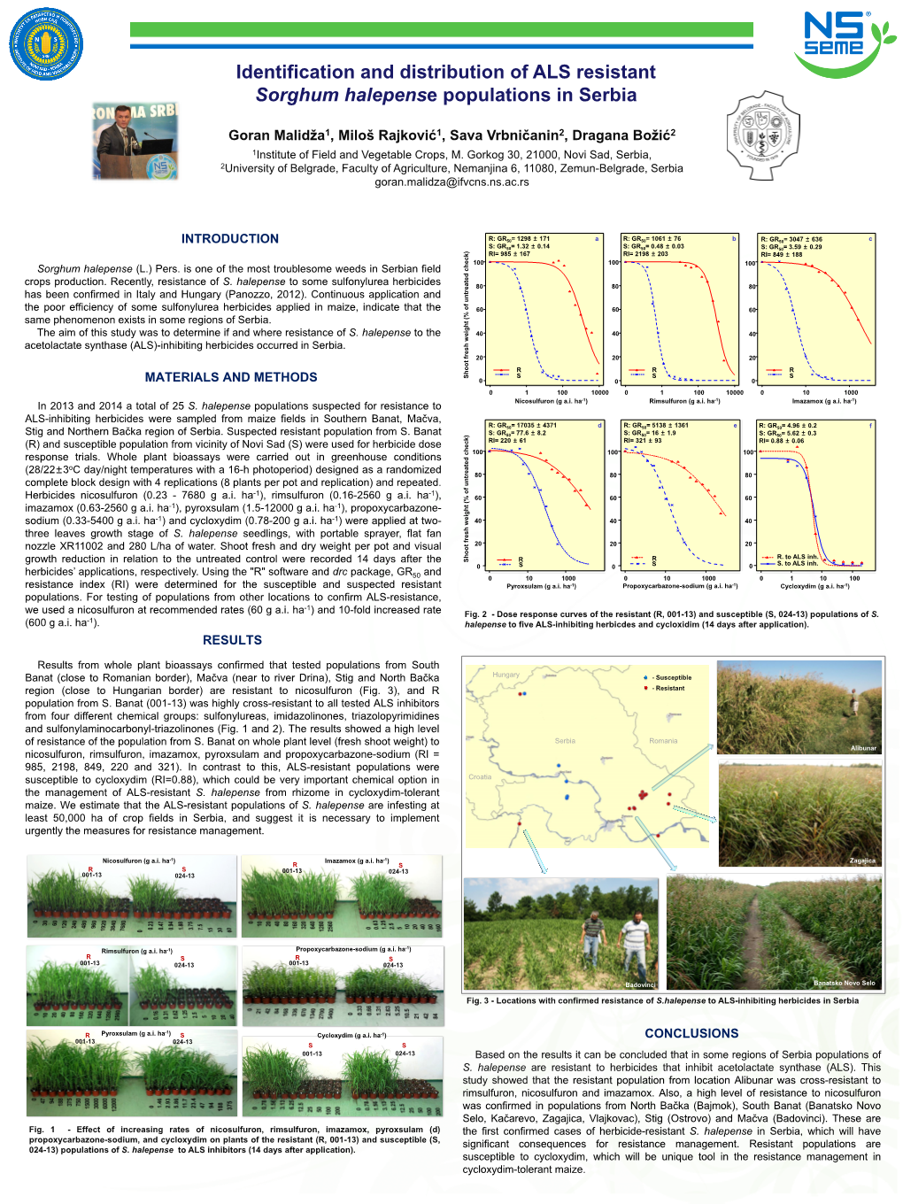 Identification and Distribution of ALS Resistant Sorghum Halepense Populations in Serbia