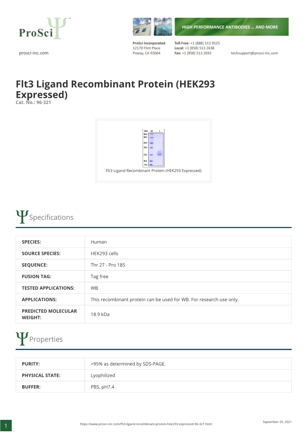 Flt3 Ligand Recombinant Protein (HEK293 Expressed) Cat