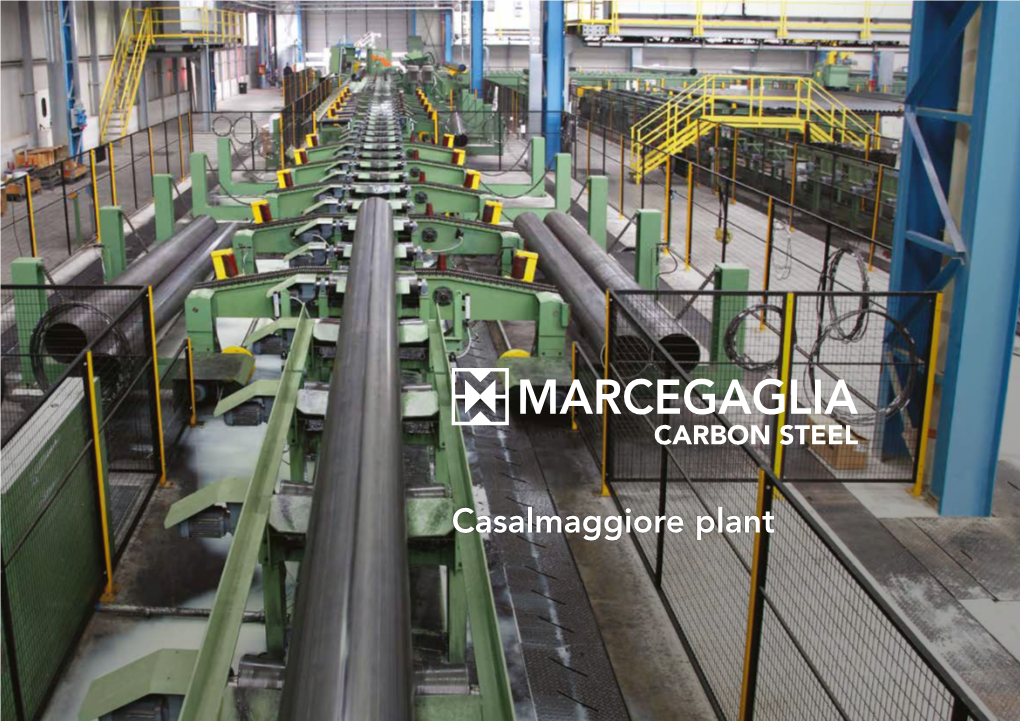 Casalmaggiore Plant MARCEGAGLIA GROUP