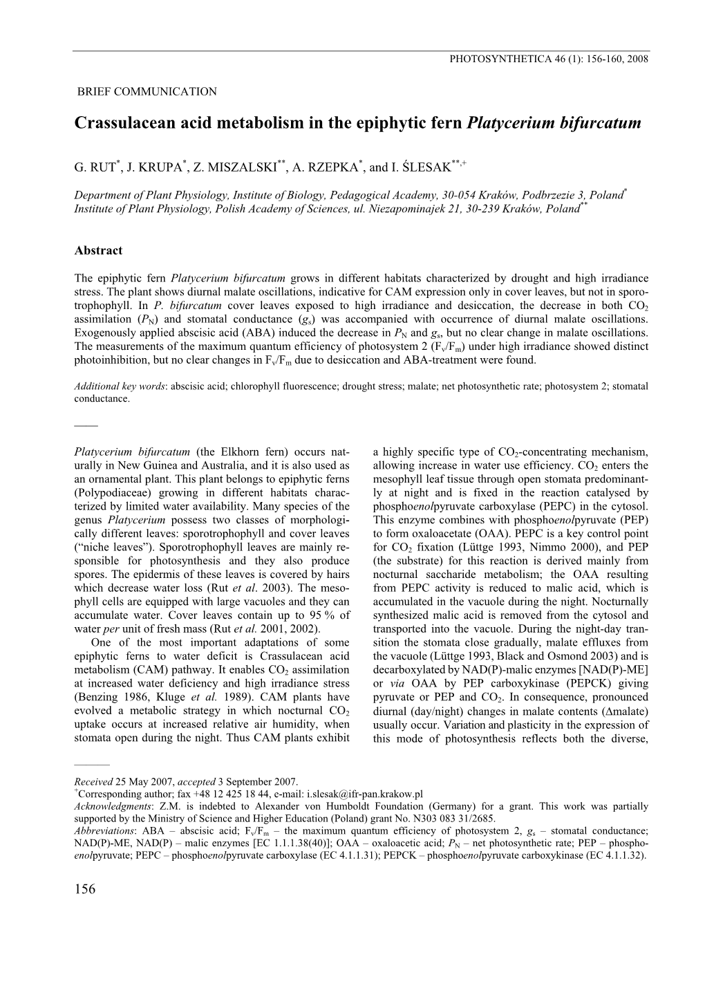 Crassulacean Acid Metabolism in the Epiphytic Fern Patycerium Bifurcatum