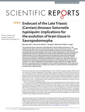 Endocast of the Late Triassic (Carnian) Dinosaur Saturnalia Tupiniquim: Implications for the Evolution of Brain Tissue in Saurop