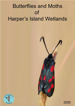 Harper's Island Wetlands Butterflies & Moths (2020)