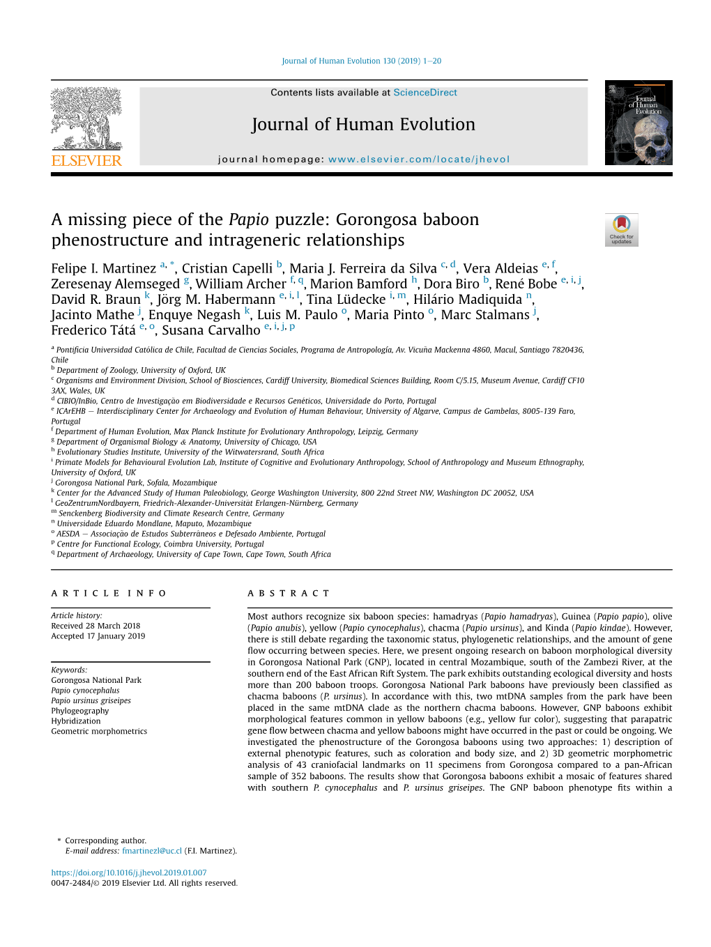 A Missing Piece of the Papio Puzzle: Gorongosa Baboon Phenostructure and Intrageneric Relationships