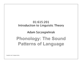 Phonology: the Sound Patterns of Language