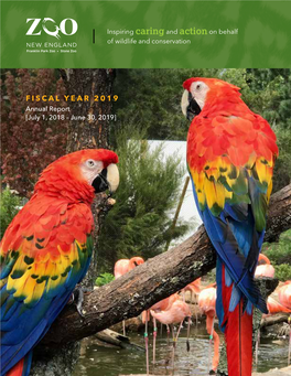FISCAL YEAR 2019 Annual Report [July 1, 2018 – June 30, 2019]