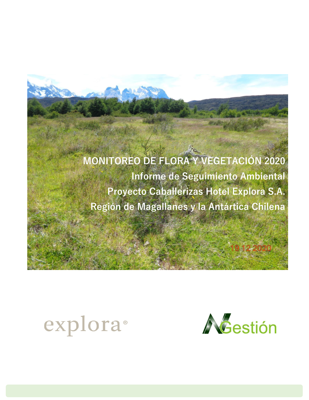 MONITOREO DE FLORA Y VEGETACIÓN 2020 Informe De Seguimiento Ambiental Proyecto Caballerizas Hotel Explora S.A