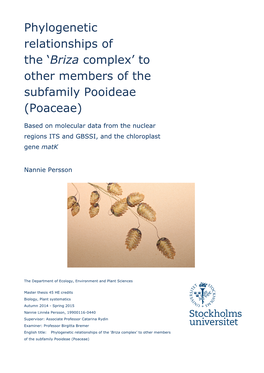 Phylogenetic Relationships of the ‘Briza Complex’ to Other Members of the Subfamily Pooideae