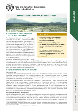 Country Factsheet on Small Family Farms: INDONESIA