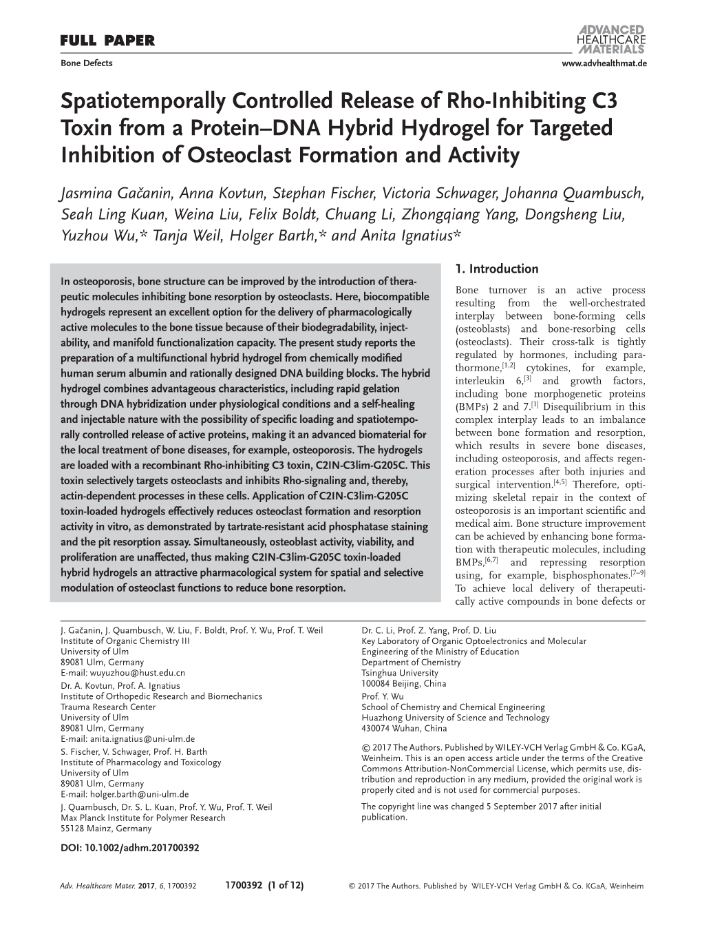 Inhibiting C3 Toxin from a Protein–DNA Hybrid