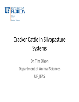 Cracker Cattle in Silvopasture Systems