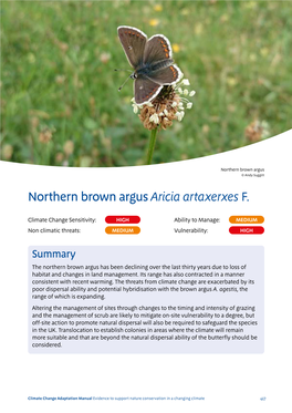 Northern Brown Argus Aricia Artaxerxes F