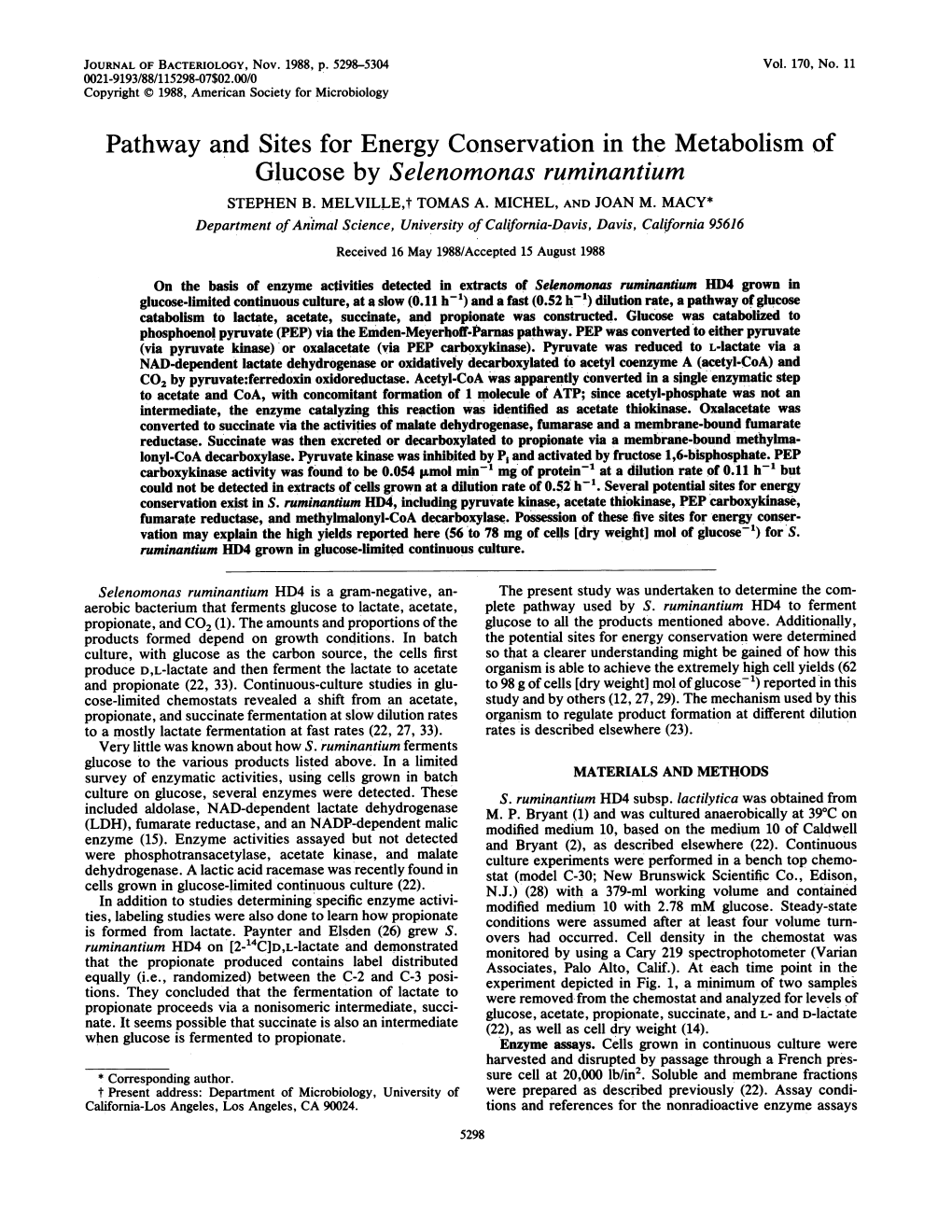 Glucose by Selenomonas Ruminantium STEPHEN B