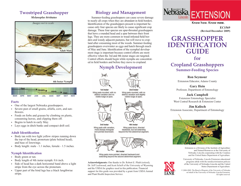 Grasshopper Identification Guide
