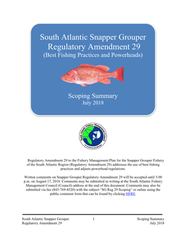 Snapper Grouper Regulatory Amendment 29 (Best Fishing Practices and Powerheads)