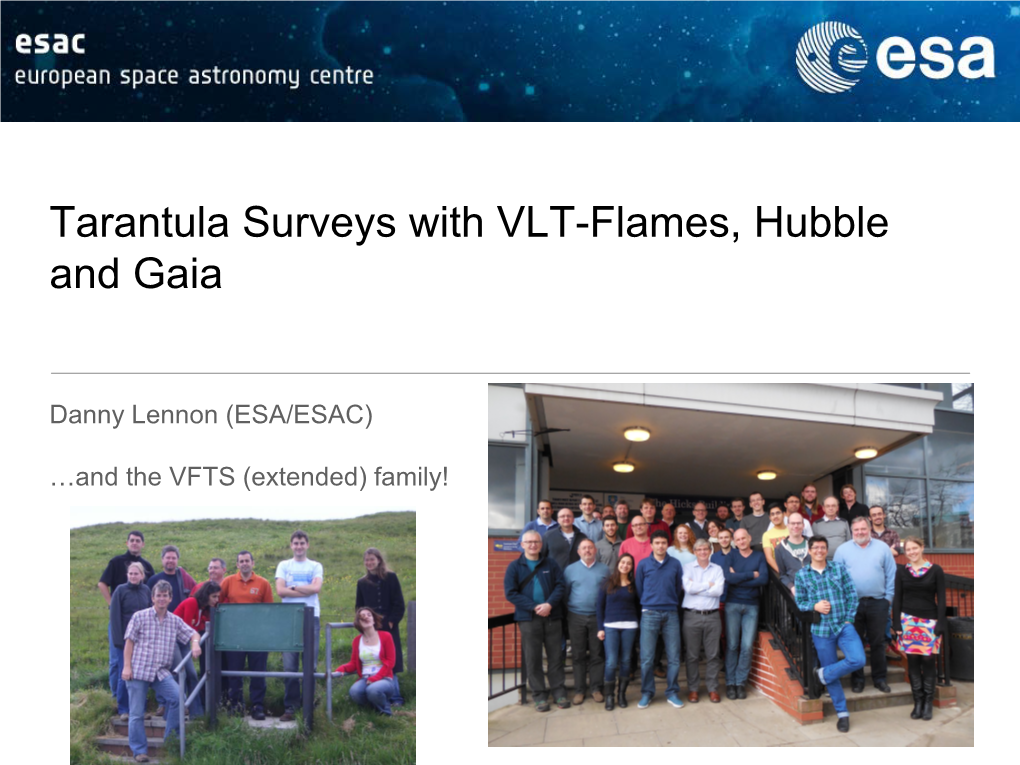 Tarantula Surveys with VLT-Flames, Hubble and Gaia