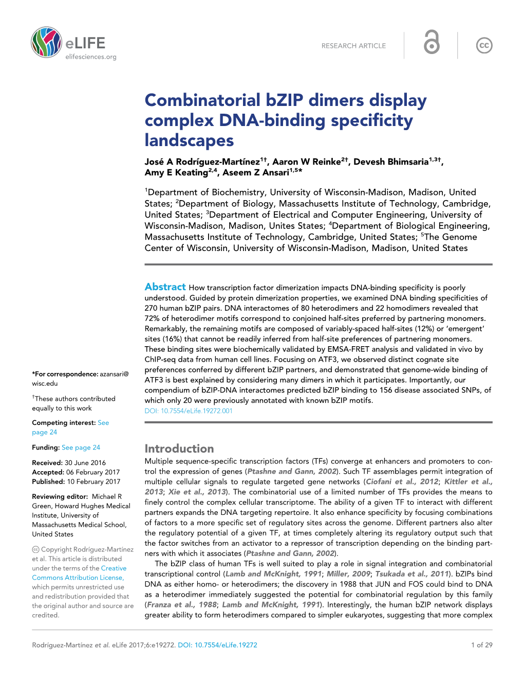 Combinatorial Bzip Dimers Display Complex DNA-Binding Specificity