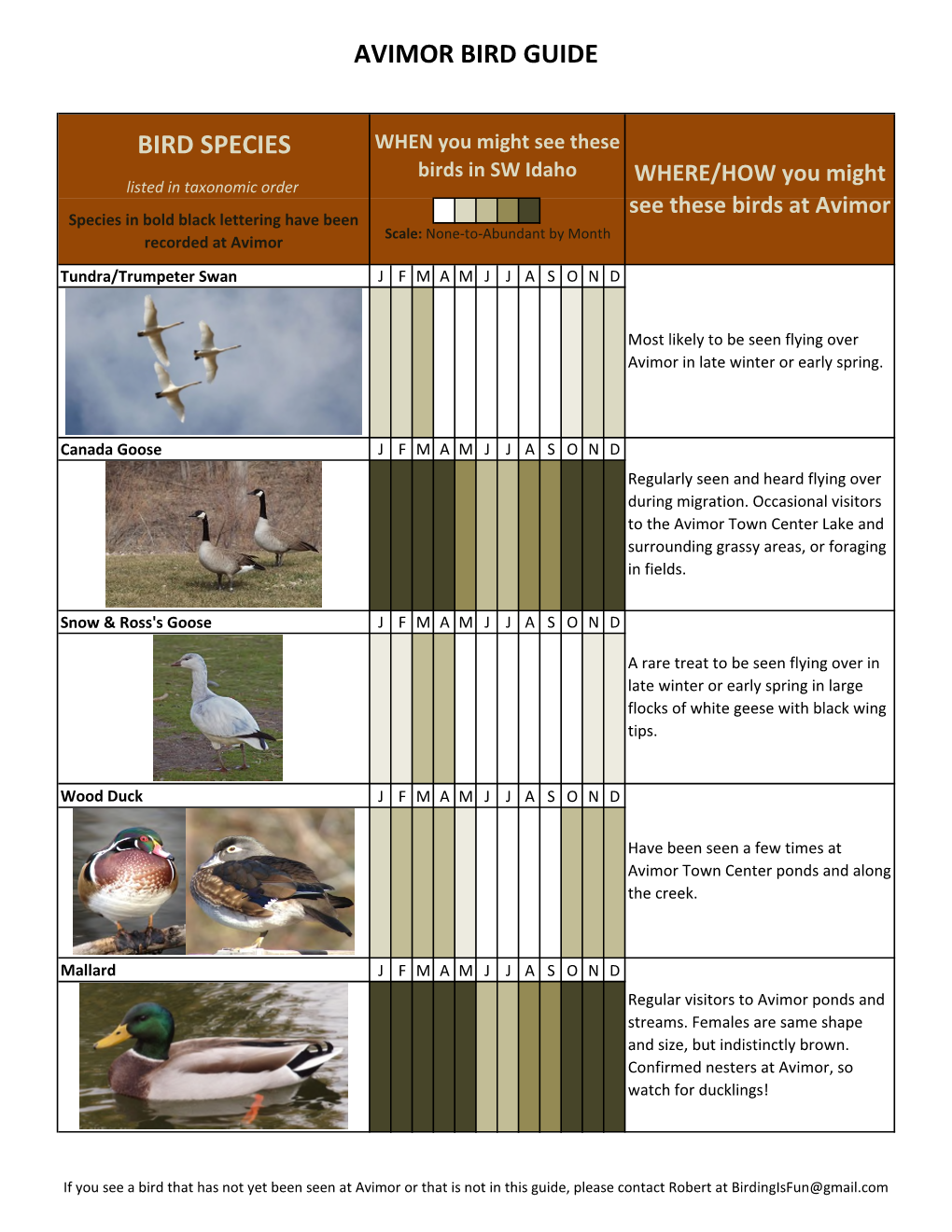 Avimor Bird Guide