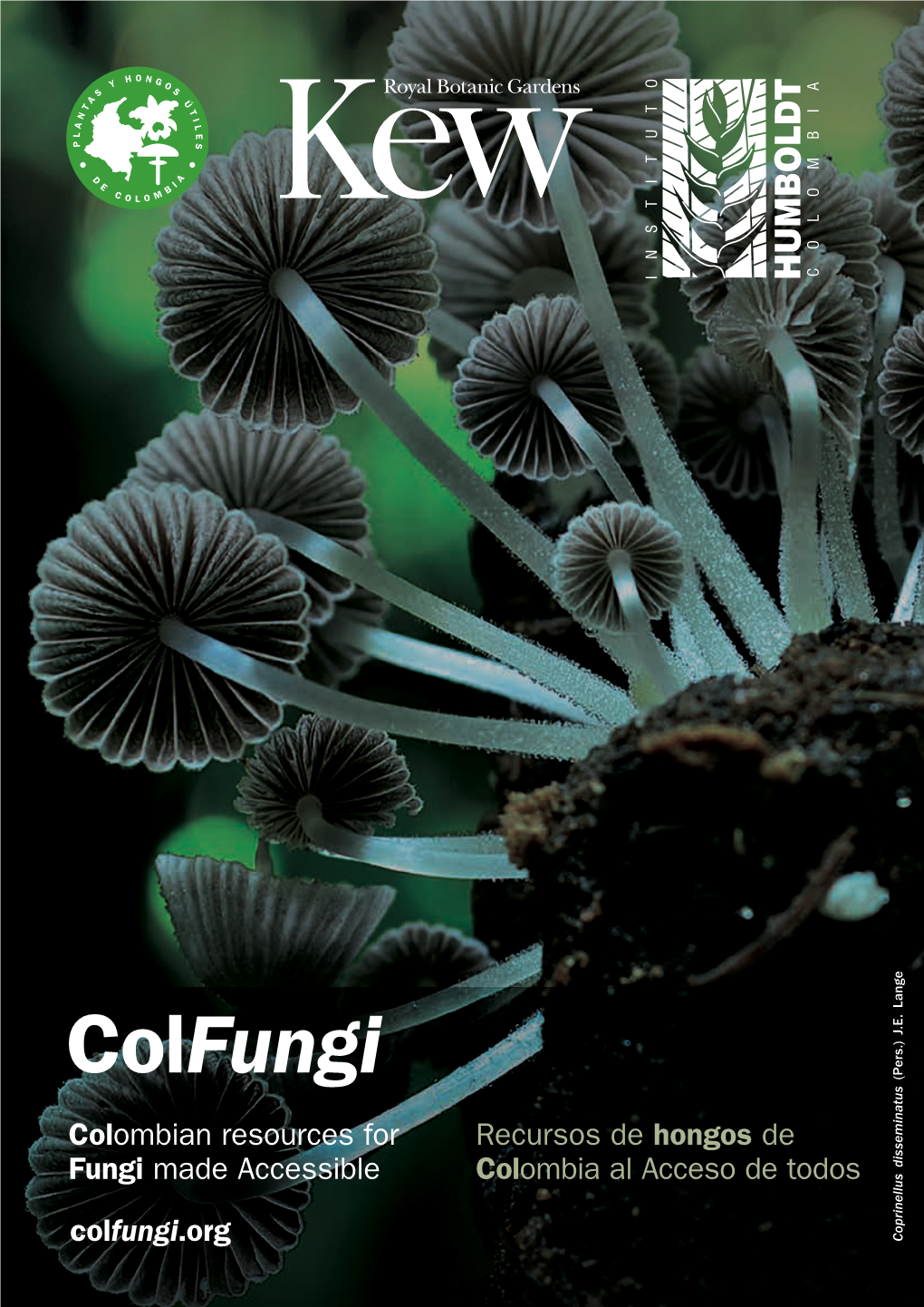 Colfungi (Pers.) J.E