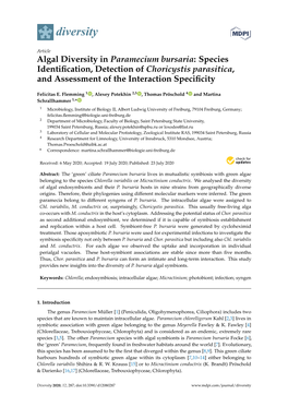 Algal Diversity in Paramecium Bursaria: Species Identiﬁcation, Detection of Choricystis Parasitica, and Assessment of the Interaction Speciﬁcity