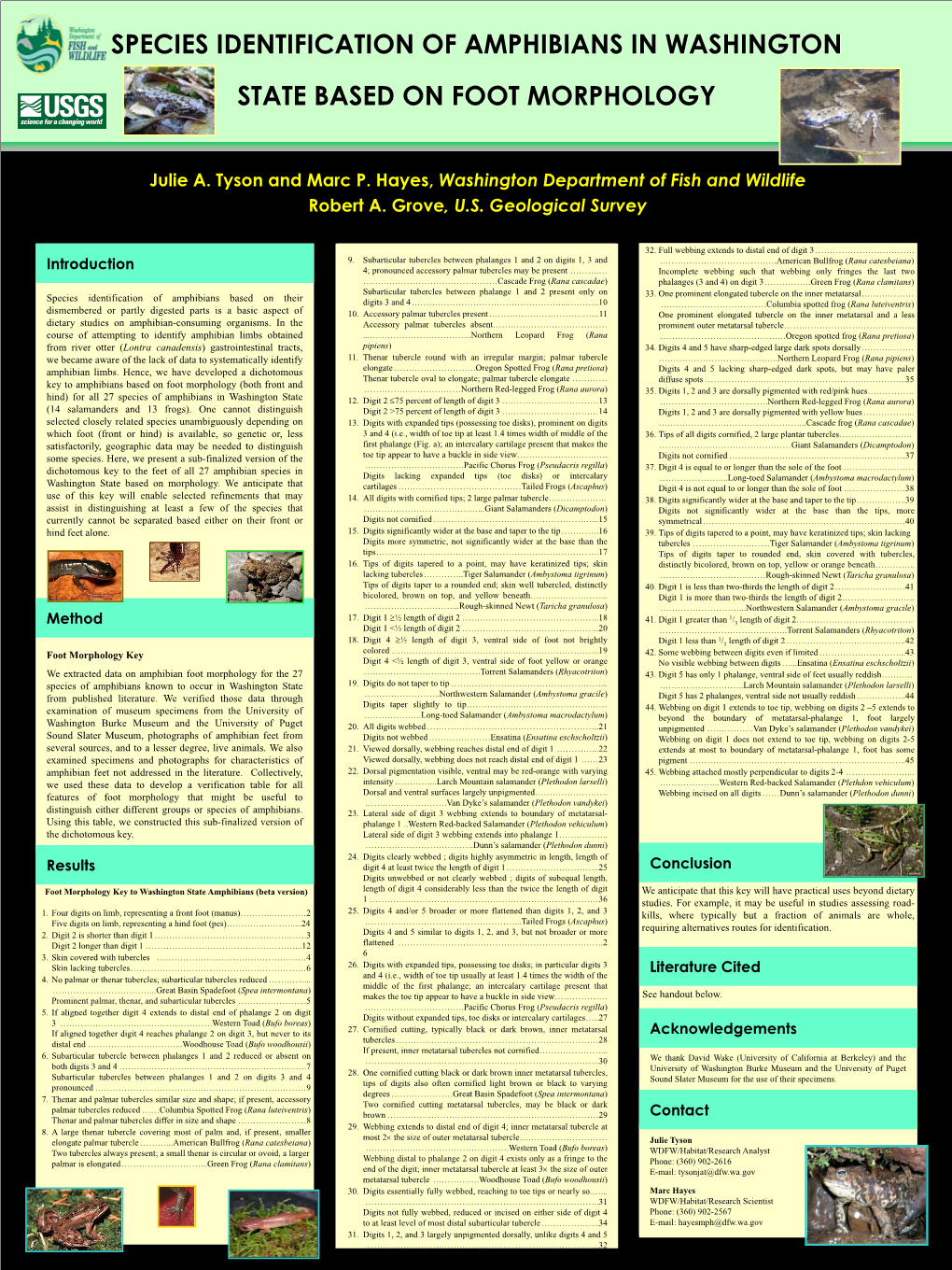 Species Identification of Amphibians in Washington State Based on Foot Morphology